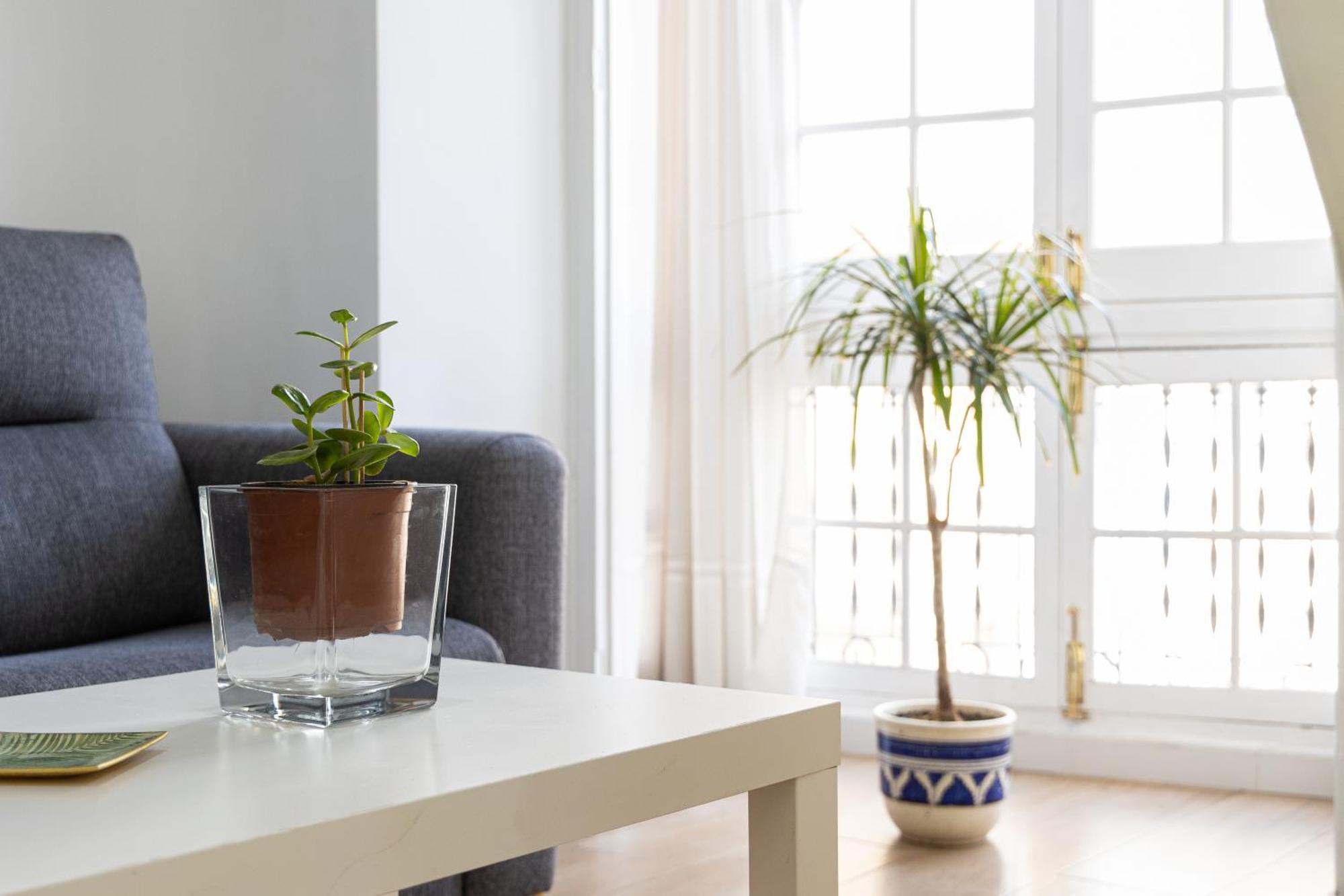 Apartamento Jacaranda Малага Экстерьер фото